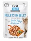 Brit Care Cat Indyk i Krewetki filety w galarecie 85g