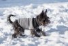 Ami Play Sweter dla psa Oslo 34cm Niebieski