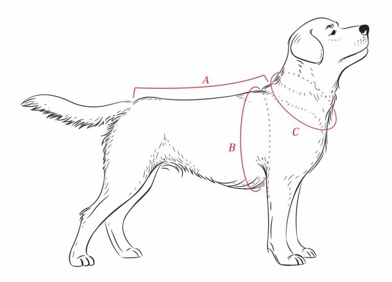 ANIMAL DESIGN Derka DP brązowa rozmiar 09 45cm