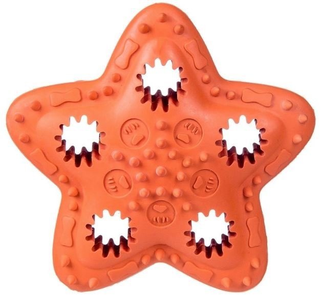 Barry King gwiazda na przysmaki pomarańczowa 12,5cm BK-15102