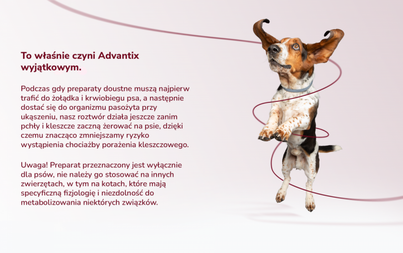 BAYER ADVANTIX dla małych psów – powyżej 4 do 10kg 1 pipeta