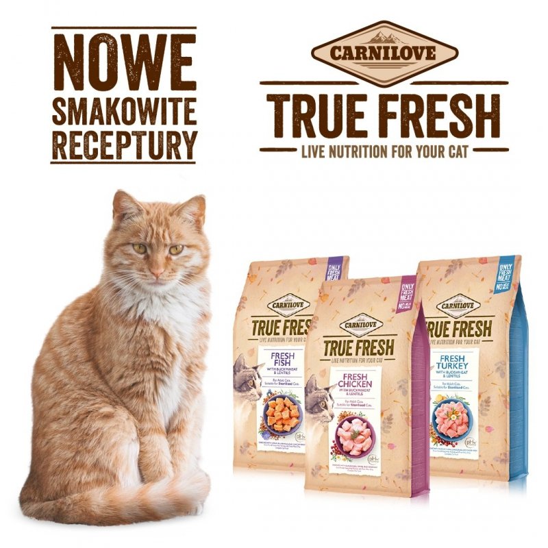 Carnilove True Fresh Cat Indyk 340g