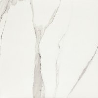 Bonella White 61x61 Bonella White 61x61