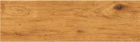 ATEM Carvalho Light Gold 20x60