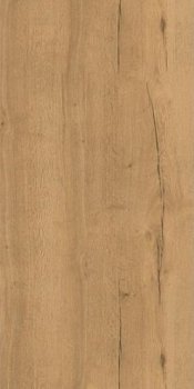 ATEM Forest YLM 60x120