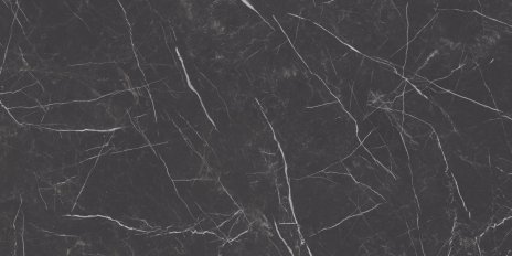 Paradyż Barro Nero 59,8x119,8