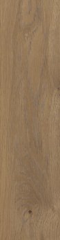 Stargres Taiga Brown 20X120
