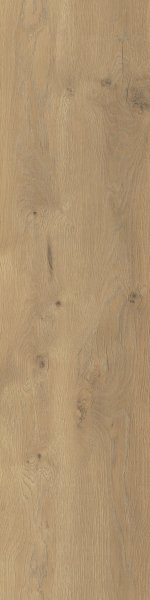 Stargres Taiga Honey 20X120