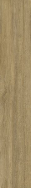 Paradyż Specialwood Gold Gres Szkl. Rekt 19,8x119,8