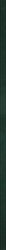 PARADYZ PAR uniwersalna listwa szklana paradyż green 2,3x89,8 g1 023x898 g1 szt