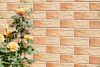 CERRAD elewacja gobi rustiko 245x65x6,5 g1 m2