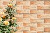CERRAD elewacja gobi rustiko 245x65x6,5 g1 m2