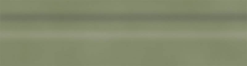 PARADYŻ MW green philosophy olive cokół mat 8x29,8 g1