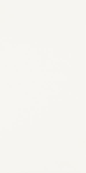 PARADYZ KW harmony bianco ściana 30x60 g1 300x600 g1 m2
