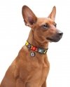 Collar WauDog Nylon Obroża nylonowa z QR-paszportem, plastikowy fastex, wzór FUTRZANE POTWORY, L 25mm/33-49cm