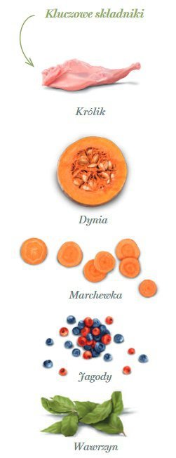 Amanova Dog Puppy Digestive Divine Rabbit - królik 2kg