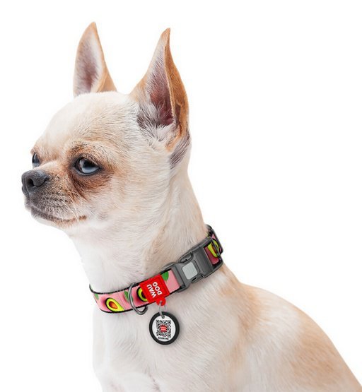 Collar WauDog Nylon Obroża nylonowa z QR-paszportem, plastikowy fastex, wzór AWOKADO NA RÓŻU, M 20mm/28-40cm