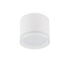 Nowoczesna Oprawa Sufitowa Natynkowa Plafon SILBA WH CG 10476 Nowodvorski Lighting