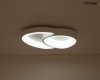 Lampa sufitowa plafon designerska nowoczesna LED organiczny kształt ściemniane światło CELLS 2 biała MSE1501100502 Moosee King Home