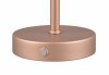 Dekoracyjna Lampka Stołowa LED W Kolorze Kawowym JEFF R59151165 RL
