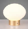 Dekoracyjna Lampka Stołowa LED W Kolorze Mosiądz Szklany Klosz EARL R57771101 RL