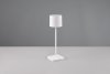 Lampka Stołowa Przenośna Akumulatorowa Biała LED FERNANDEZ R54096131 RL