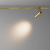 Ścieżka świetlna lampa szynowa regulowana LED aluminium mosiądz Focus LED MAYTONI TR144-1-5W2.7K-W-BS-DE 