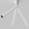 Lampa sufitowa plafon spot minimalistyczna klasyczna LED regulowa tuba aluminium biała Focus T MAYTONI C141CL-L300-6W3K-W