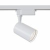 OPRAWA LED DO ZAMONTOWANIA NA SZYNIE MAYTONI TRACK TR003-1-12W4K-W