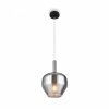 Lampa Wisząca Szklany Klosz DUALITY MOD271PL-01B5 MAYTONI