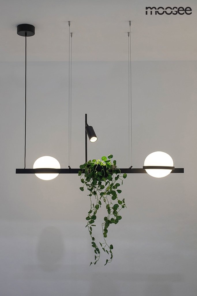 Plant lampa new arrivals