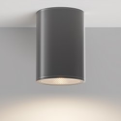 Nowoczesna lampa zewnętrzna sufitowa plafon LED metalowy grafitowy Bar MAYTONI O306CL-L12GF