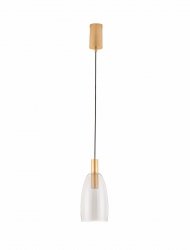 Złota lampa wisząca ze szklanym kloszem IQUITOS LE44847 Luces Exlusivas