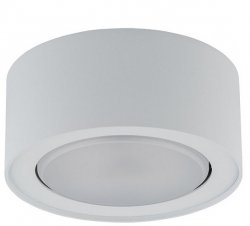 LAMPA NATYNKOWA SUFITOWA FLEA Nowodvorski Lighting 8202