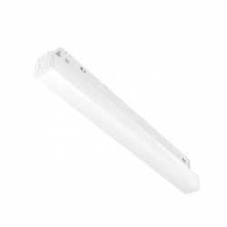 Zasilacz Szynoprzewodowy Biały Wpinany EXILITY TRX034DR4-200W-1 MAYTONI