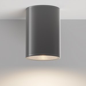 Nowoczesna lampa zewnętrzna sufitowa plafon LED metalowy grafitowy Bar MAYTONI O306CL-L12GF