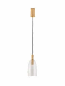Złota lampa wisząca ze szklanym kloszem IQUITOS LE44847 Luces Exlusivas