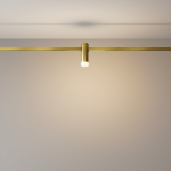 Ścieżka świetlna lampa szynowa tuba LED aluminium mosiądz Skim MAYTONI TR145-1-3W2.7K-W-BS-DE