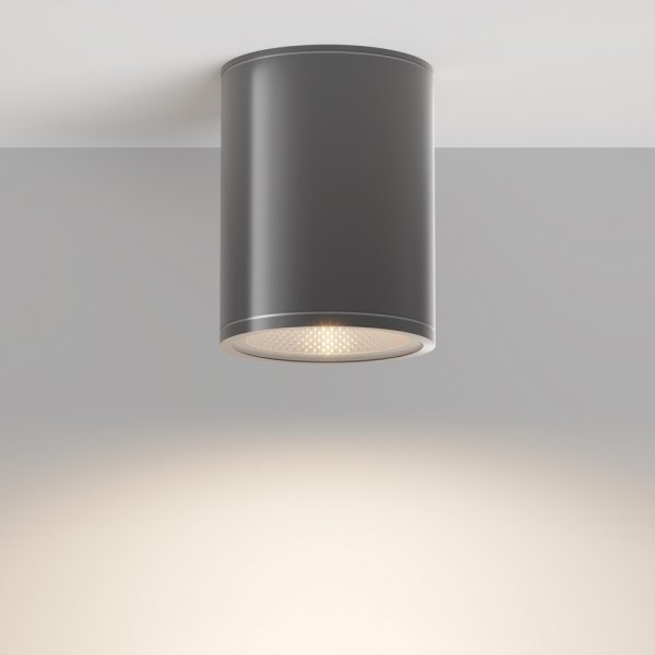 Nowoczesna lampa zewnętrzna sufitowa plafon LED metalowy grafitowy Bar MAYTONI O306CL-L7GF
