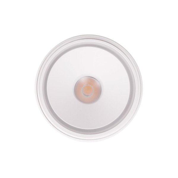Biała lampa sufitowa VECTOR led 10W MAXLIGHT C0265 