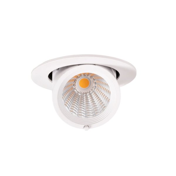 Oprawa wpuszczana w sufit LED minimalistyczna klasyczna okrągła biała aluminiowa regulowana Rubio H0132 MAXLIGHT 