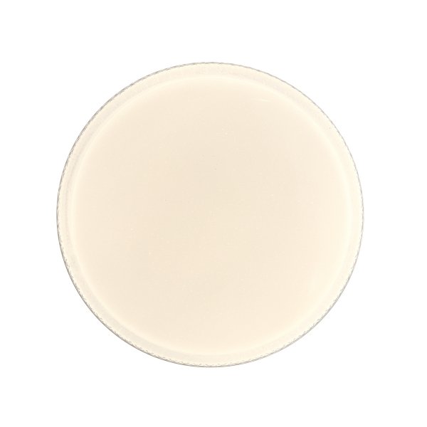 Nowoczesna Oprawa Sufitowa Ozdobny Plafon LED BORLA PLF-63748-S-CL ITALUX