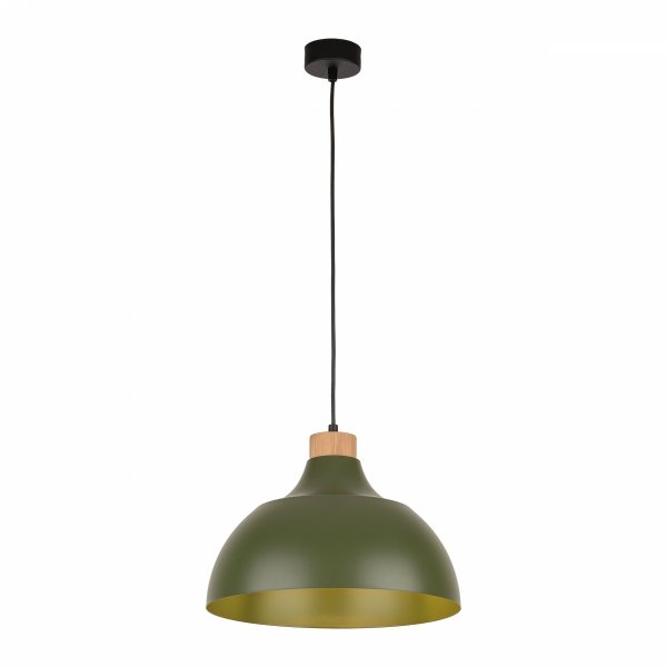 Minimalistyczna lampa wisząca w stylu rustykalnym zielona z elementem drewnianym CAP GREEN 5665 TK-Lighting 
