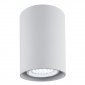 Lampa sufitowa downlight tuba plafon metalowa okrągła srebrna pojedyncza nowoczesna klasyczna LED GU10 TYBER 3117 Argon 