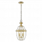 Złota lampa wisząca zewnetrzna ogrodowa szklana retro WHITLEY P02890AU 