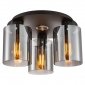 Plafon Sufitowy Loft Szklany Klosz SARDO SPL-5581-3SC-BK-SG ITALUX 