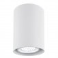 Lampa sufitowa downlight tuba plafon metalowa okrągła biała pojedyncza nowoczesna klasyczna LED GU10 TYBER 3119 Argon 