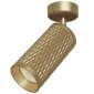 Sufitowy Reflektor Złoty Natynkowy Nowoczesny FOCUS DESIGN C034CL-01G MAYTONI 