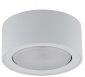 LAMPA NATYNKOWA SUFITOWA FLEA Nowodvorski Lighting 8202 