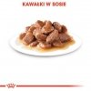 Royal Canin Instinctive +7 w sosie karma mokra dla kotów starszych, wybrednych saszetka 85g
